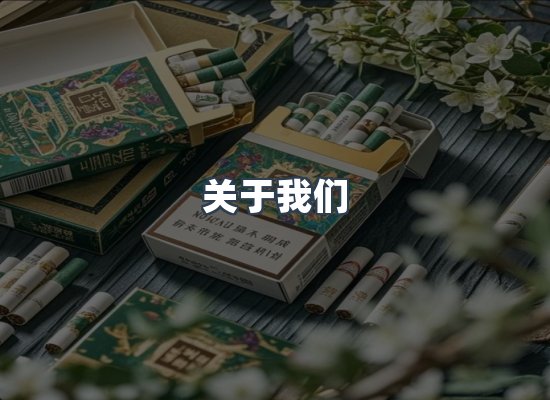 关于我们